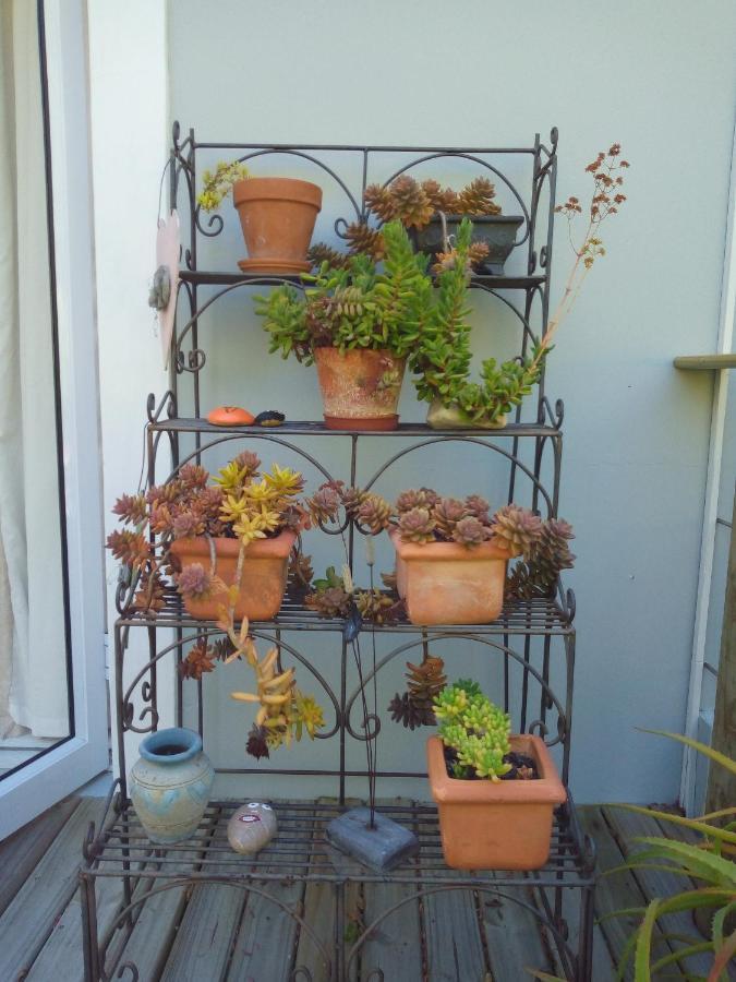 Crescent Cottage Knysna Eksteriør billede